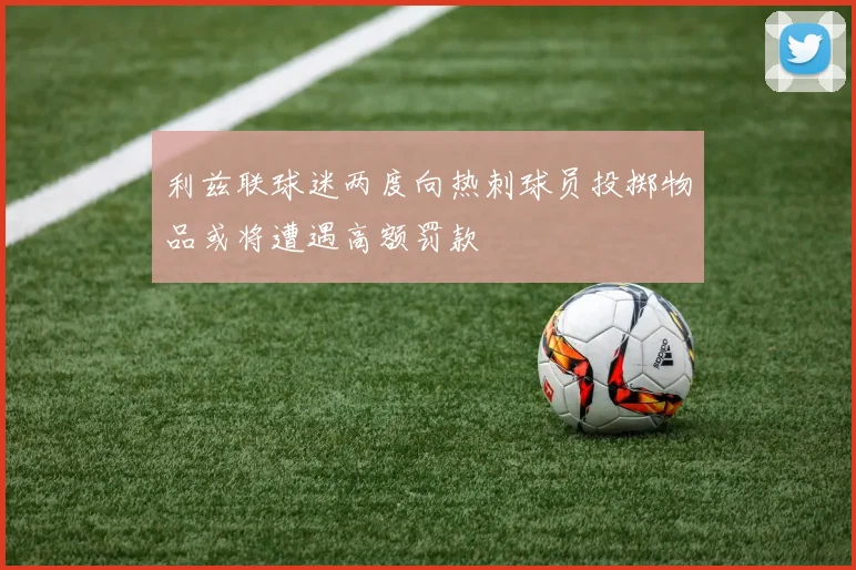 利兹联球迷两度向热刺球员投掷物品或将遭遇高额罚款