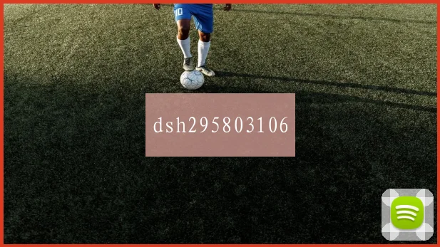 dsh295803106